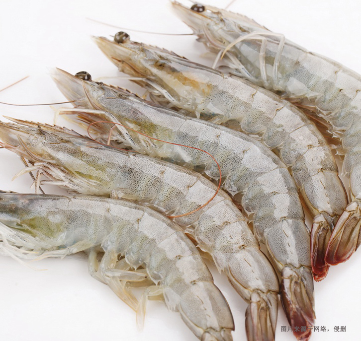 天津進口厄瓜多爾南美白蝦清關資料冷凍水產品案例