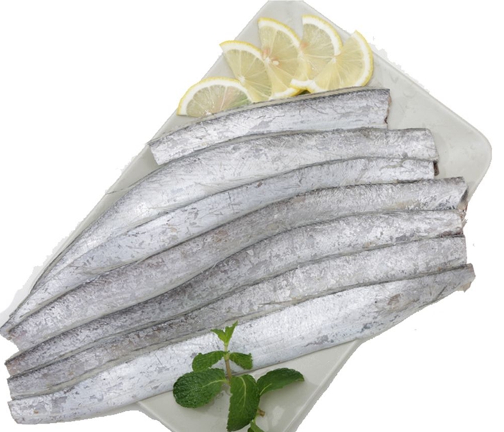 巴基斯坦冷凍帶魚進口報關資料到天津水產(chǎn)品案例