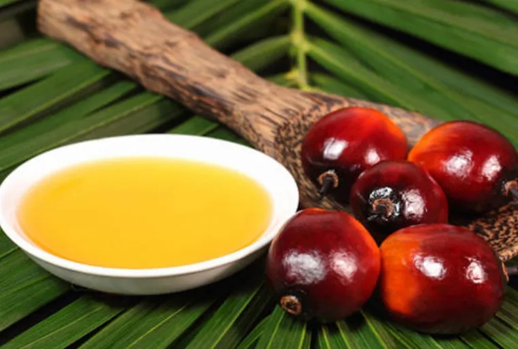 馬來(lái)西亞棕櫚油進(jìn)口報(bào)關(guān)