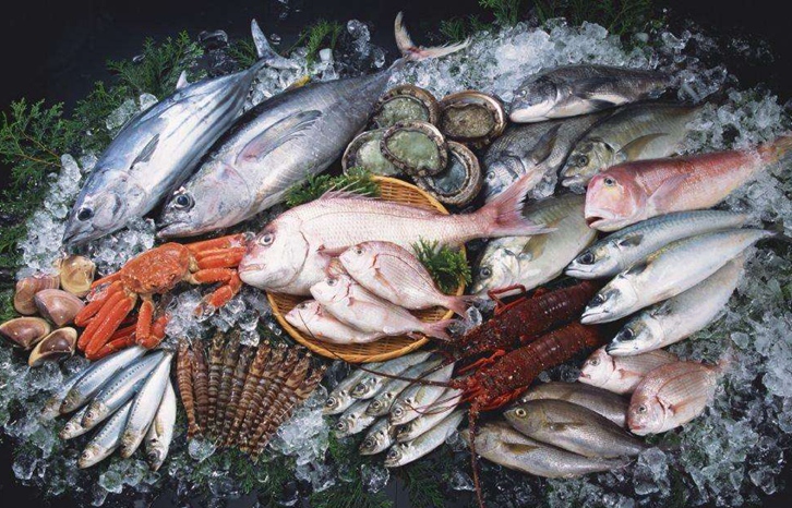 進口海鮮報關流程