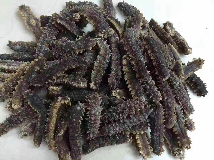 印尼海參進口清關公司