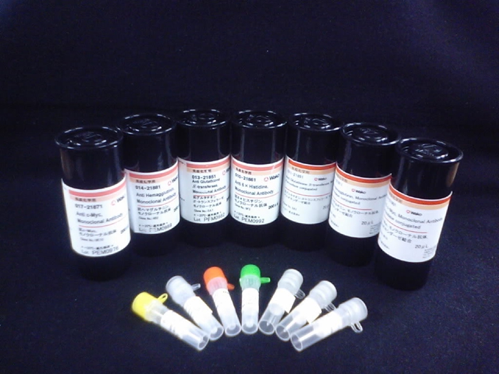 澳大利亞牛血清白蛋白進口清關