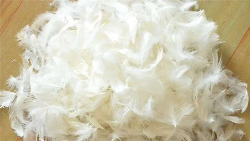 越南到上海外高橋鴨毛進口報關流程代理案例