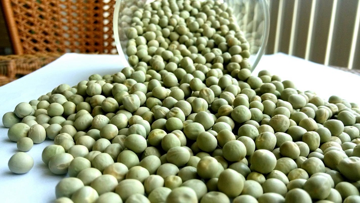 飼用豌豆進(jìn)口報(bào)關(guān)資料