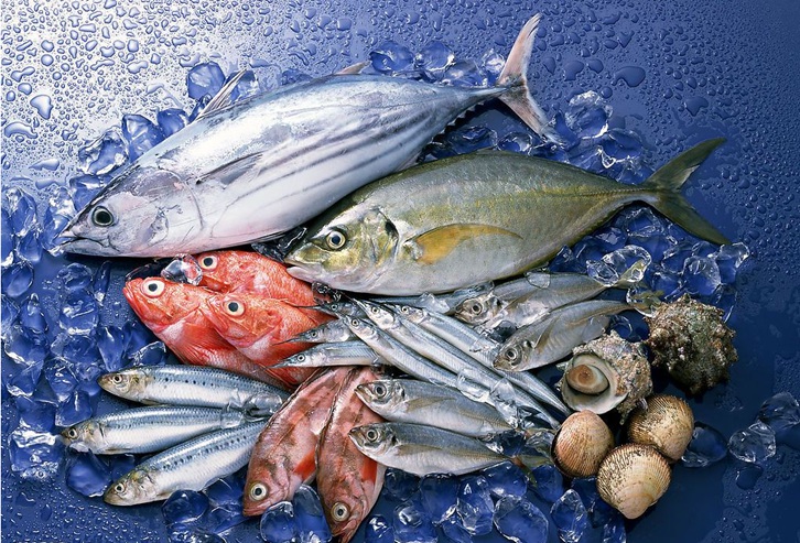 水產(chǎn)品進口清關(guān)所需資料流程_越南沙丁魚報關(guān)代理