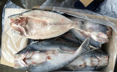 進口巴沙魚清關代理一點都不難，只要你準備好這些資料