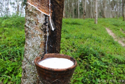 越南天然橡膠怎么進口報關清關_流程只需要這7點
