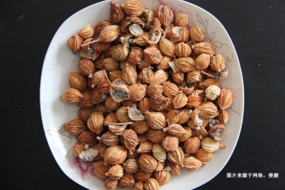 馬來西亞肉豆蔻進口報關流程_廣州調(diào)味香料清關資料