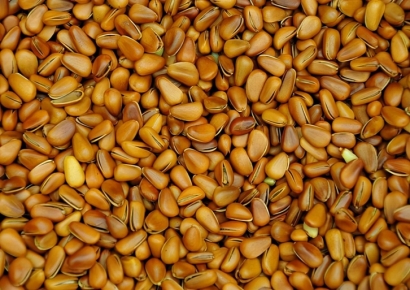 「食品進(jìn)口」上海報(bào)關(guān)公司|阿富汗松子進(jìn)口清關(guān)案例