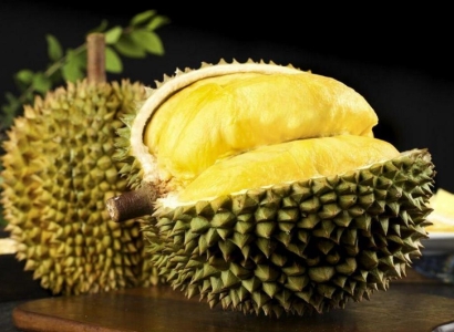 廣州進口越南榴蓮報關流程_新鮮榴蓮進口清關費用