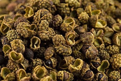 葵花籽粕進口清關注意事項_葵花籽粕進口流程