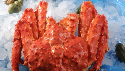 青島進(jìn)口俄羅斯帝王蟹清關(guān)流程-水產(chǎn)品報(bào)關(guān)行