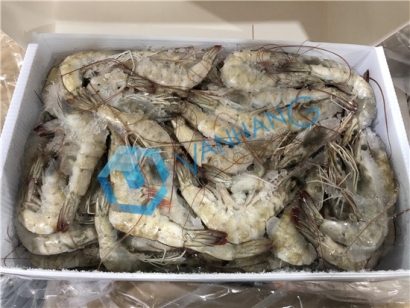 進口海鮮報關需要的報關單證原來是這些，了解一下!