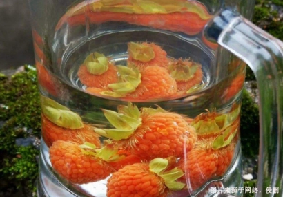 美國覆盆子籽油進口清關費用-工業植物油報關行