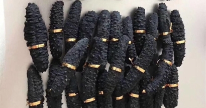 澳大利亞海參進(jìn)口報關(guān)資料9樣-深圳水產(chǎn)品報關(guān)行