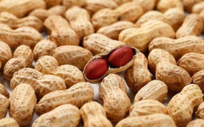 進(jìn)口大宗農(nóng)產(chǎn)品報關(guān)需要了解這些