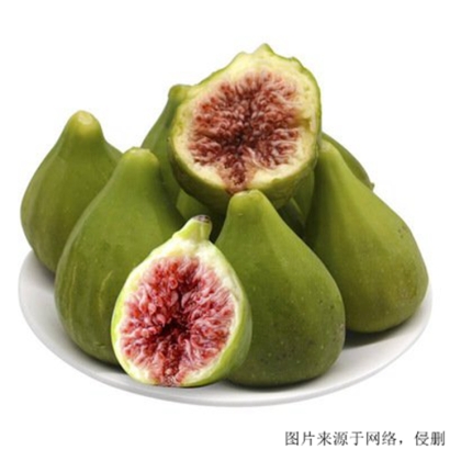 常州進口食品報關(guān)_了解土耳其無花果的進口流程與優(yōu)勢