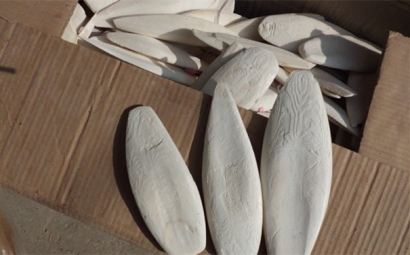 看這里!進口墨魚骨報關之前需提前準備的資料