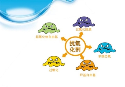 抗氧化劑進口報關流程手續經驗豐富