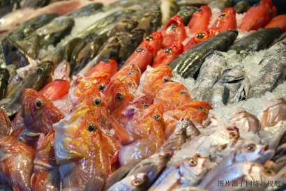 水產品進口清關報關報費用流程_加拿大金線魚報關