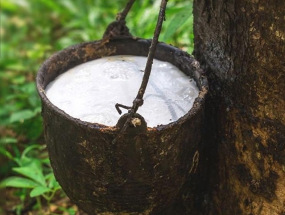在大連橡膠進口清關流程怎么樣？越南橡膠進口關稅