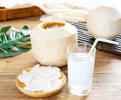 越南椰子進口報關(guān)資料_廣州椰子進口報關(guān)流程手續(xù)