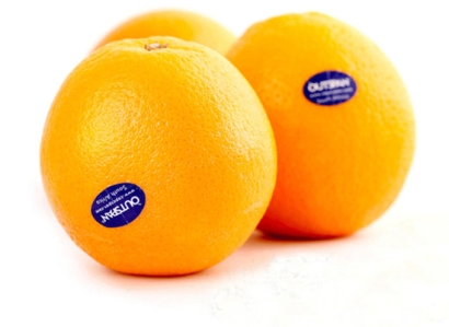 從南非進(jìn)口鮮橙子水果報(bào)關(guān)到深圳蛇口清關(guān)代理操作案例