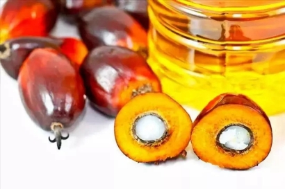 天津棕櫚油進(jìn)口清關(guān)費用_食用棕櫚油報關(guān)關(guān)稅多少