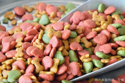 進口寵物食品報關_解讀全面的流程與要點