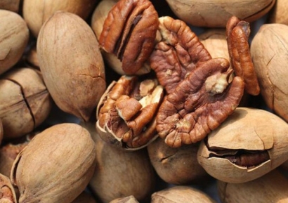 美國山核桃碧根果進(jìn)口清關(guān)資料-廣州堅(jiān)果報(bào)關(guān)行