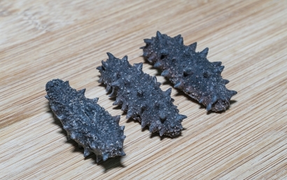 仿刺參進(jìn)口報關(guān)檢驗(yàn)檢疫需要的資料