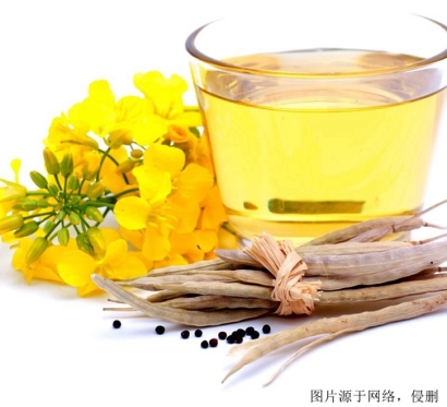 天津進口菜籽油報關資料_俄羅斯進口食用油清關流程