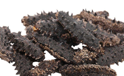 法國(guó)海參進(jìn)口報(bào)關(guān)流程_上海干海參進(jìn)口清關(guān)資料