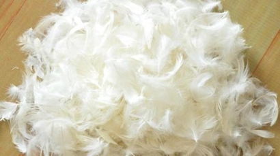 鴨毛進口報關，給大家普及一下相關知識