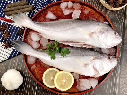 生鮮進(jìn)口報(bào)關(guān)代理如何辦理手續(xù)？「報(bào)關(guān)流程」