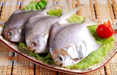 印尼冷凍鯧魚(yú)進(jìn)口報(bào)關(guān)流程-廣州水產(chǎn)品報(bào)關(guān)行