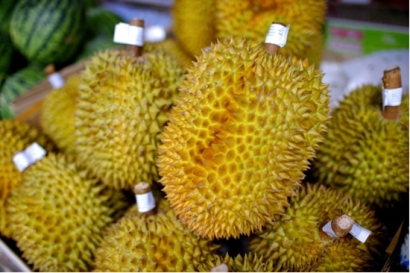 馬來(lái)西亞進(jìn)口榴蓮清關(guān)，海關(guān)檢驗(yàn)檢疫要求