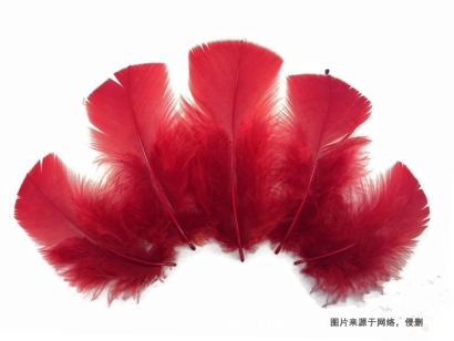 泰國進口火雞毛報關流程_鴨毛、鴕鳥毛進口關稅