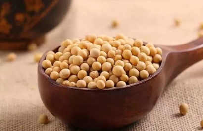 青島港大豆清關找17年經(jīng)驗的廣州臻力公司