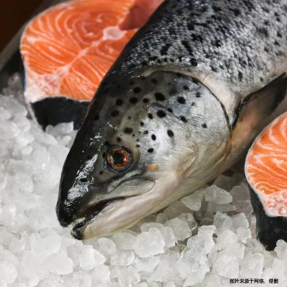 廈門冷凍食品進口報關(guān)清關(guān)指南-19年冷凍食品進口報關(guān)行