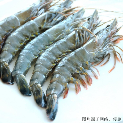 湛江進(jìn)口南美白對(duì)蝦清關(guān)流程_冷凍蝦進(jìn)口報(bào)關(guān)費(fèi)用