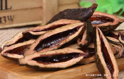 廣州南沙港檳榔退運代理_進口越南緬甸檳榔清關(guān)服務(wù)