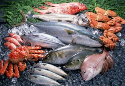 巴布亞新幾內(nèi)亞海鮮進口報關(guān)流程_野生水產(chǎn)品通關(guān)