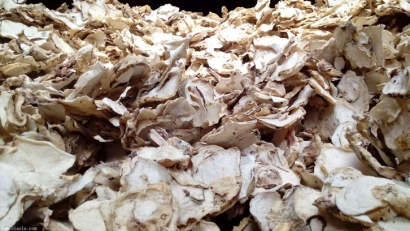 印尼魔芋可以進口嗎？魔芋干進口報關準入國