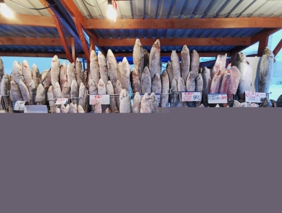 想知道菲律賓凍魚進口報關(guān)的流程嗎?凍魚報關(guān)請看這里