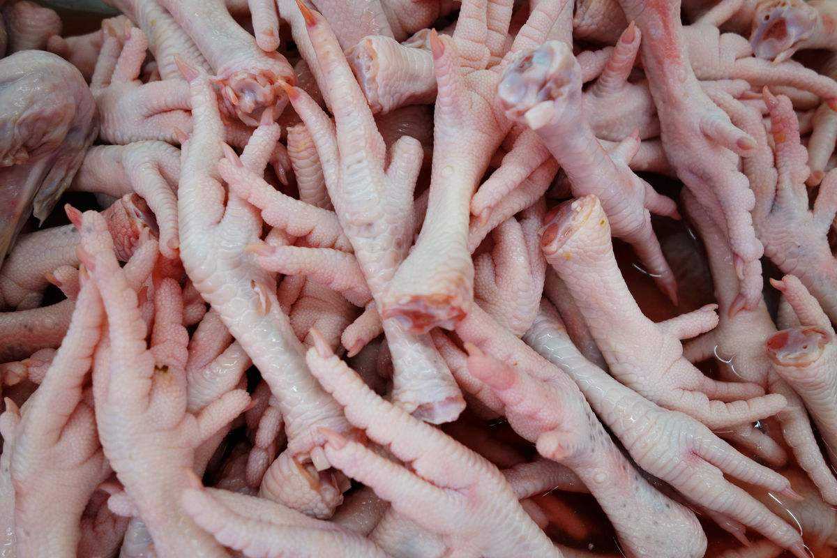 天津雞爪進(jìn)口報(bào)關(guān)費(fèi)用