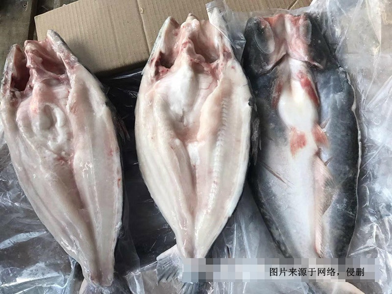 越南冷凍巴沙魚進(jìn)口報關(guān)資料 越南冷凍巴沙魚進(jìn)口報關(guān)資料