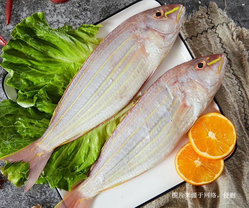 上海進口越南金線魚報關(guān)流程 上海進口越南金線魚報關(guān)流程