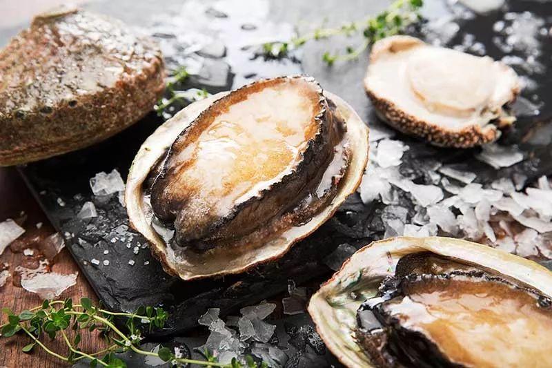 澳大利亞鮑魚進(jìn)口報關(guān)流程 澳大利亞鮑魚進(jìn)口報關(guān)流程