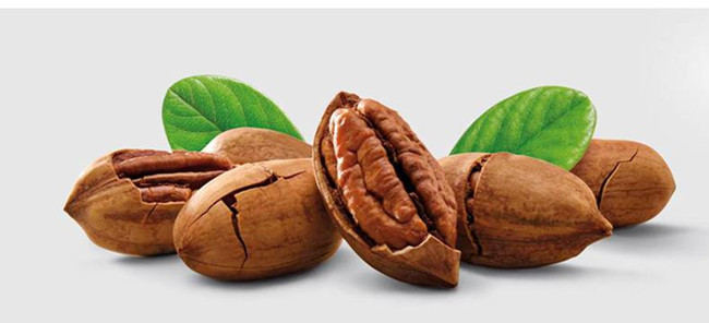 墨西哥碧根果進口報關流程 墨西哥碧根果進口報關流程